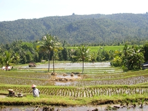 Indonesië 2 030