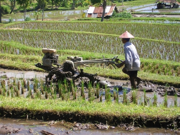 Indonesië 2 032