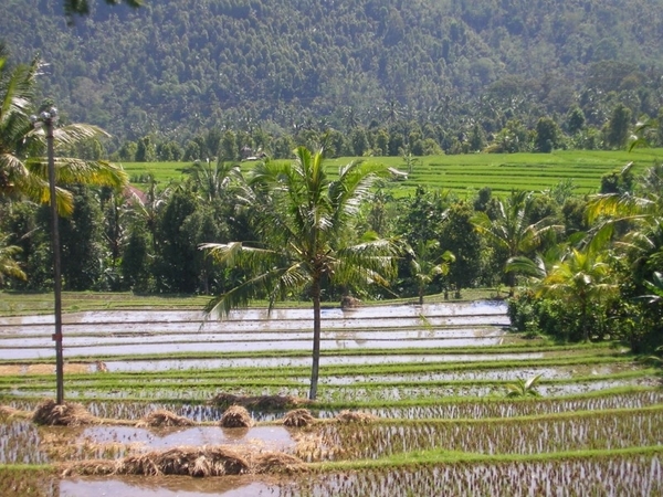 Indonesië 2 033