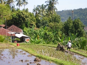 Indonesië 2 034