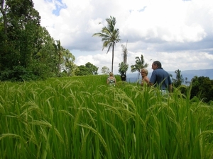 Indonesië 2 070