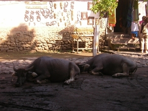 Indonesië 2 196