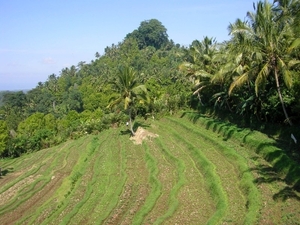 Indonesië 2 200