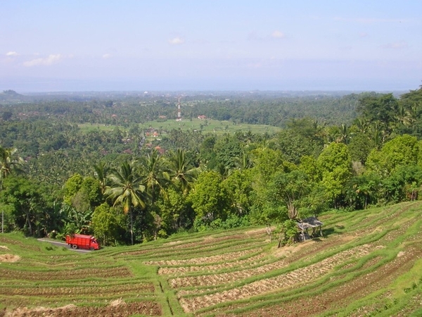 Indonesië 2 201