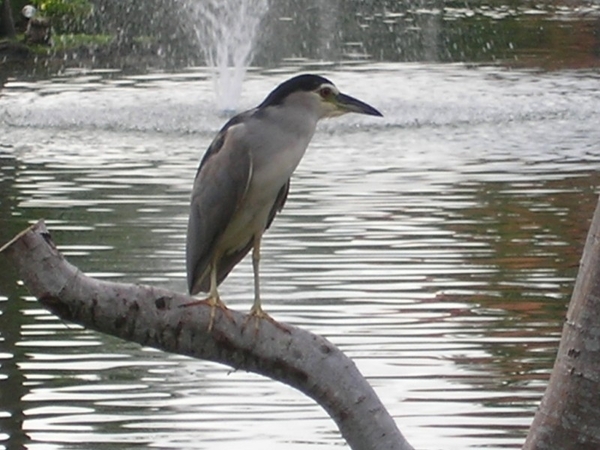 Indonesië 2 336