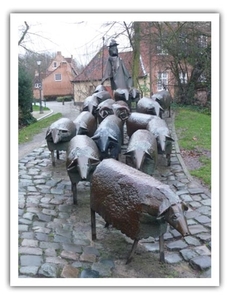 Zoek het zwarte schaap