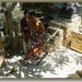 Ceremonie voor de nieuwe tempel