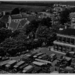 01900239