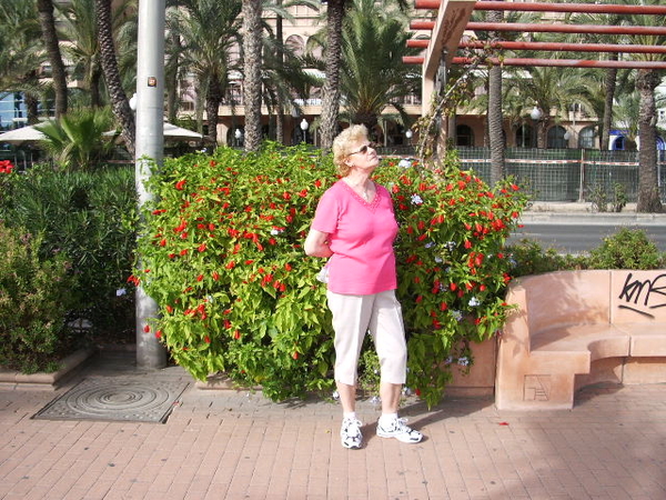 benidorm 2009