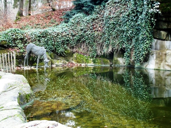 Ardennen wandeling Adeps Chevetogne