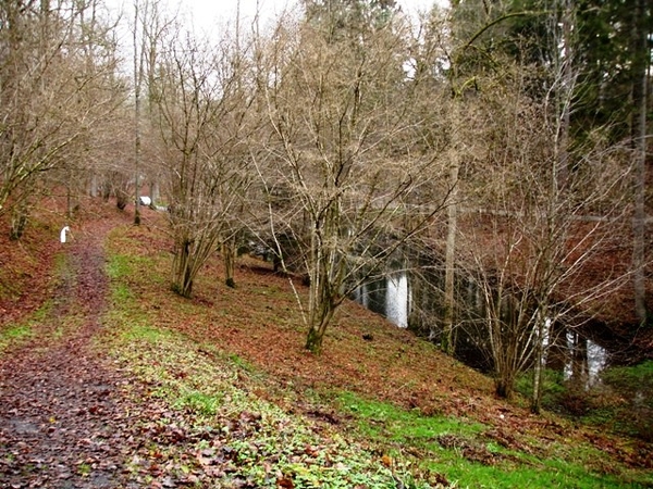 Ardennen wandeling Adeps Chevetogne