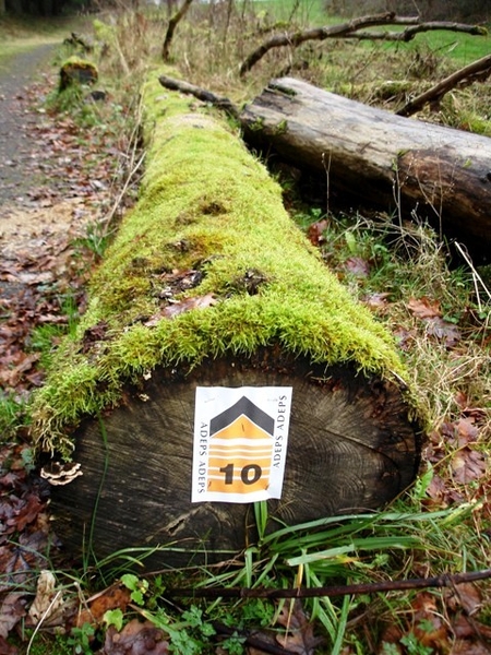 Ardennen wandeling Adeps Chevetogne