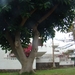 DSC00736