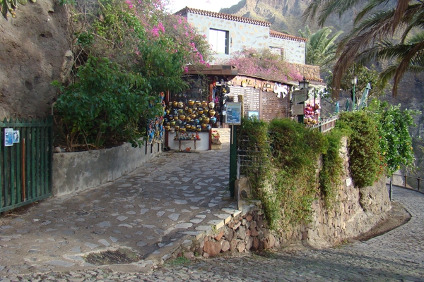 DSC00803