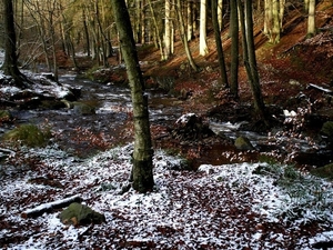 prachtige natuur
