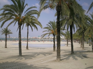 mallorca 2009 024