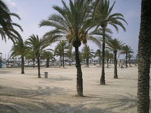 mallorca 2009 025