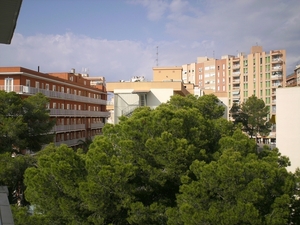 mallorca 2009 078