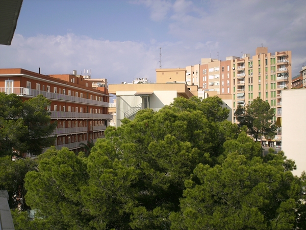 mallorca 2009 078