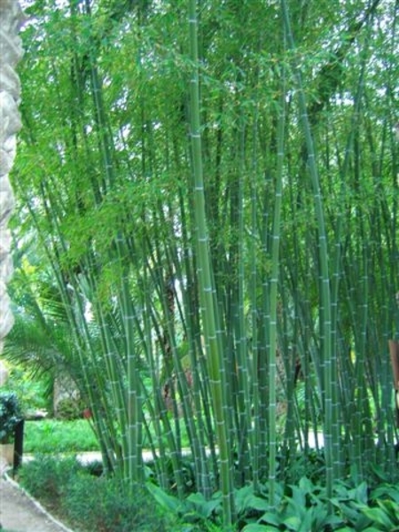 IMG_0340