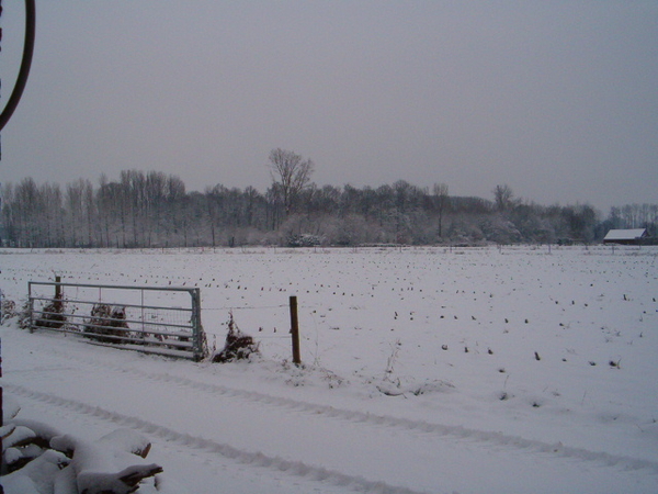 sneeuwlandschap 002