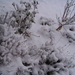 sneeuwlandschap 003