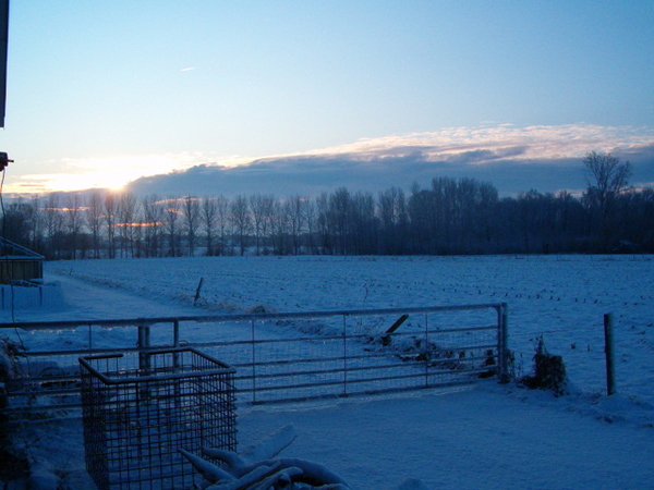 sneeuw3jan2010 002