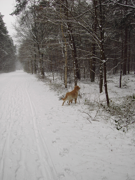 winter