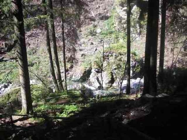 Gilfenklamm (1)