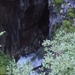 Gilfenklamm (9)