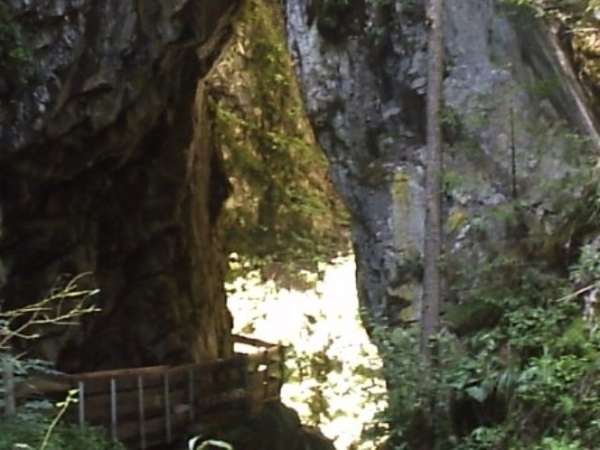Gilfenklamm (16)
