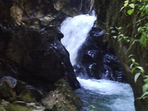 Gilfenklamm (18)