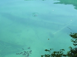 Meer van Fusine (13)