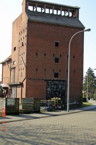 chicore ast claerhout.