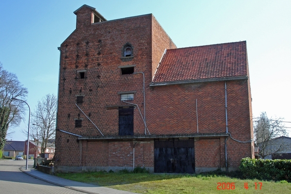 chicorei ast claerhout.