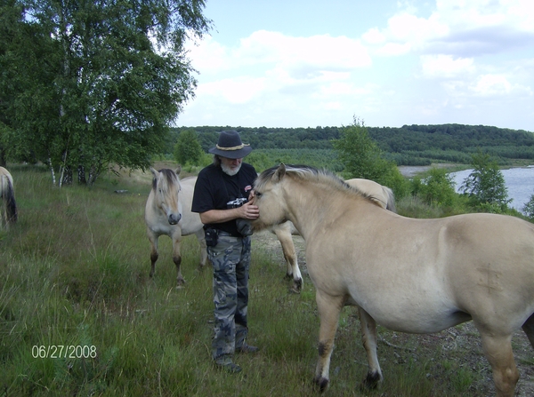 wilde paarden kikbeek 190