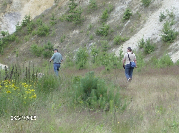 wilde paarden kikbeek 073