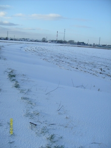 prachtig winterlandschap