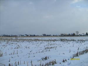 maisvelden in de sneeuw