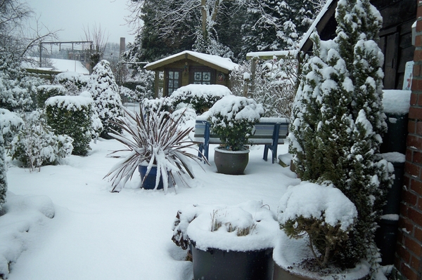 Sneeuw