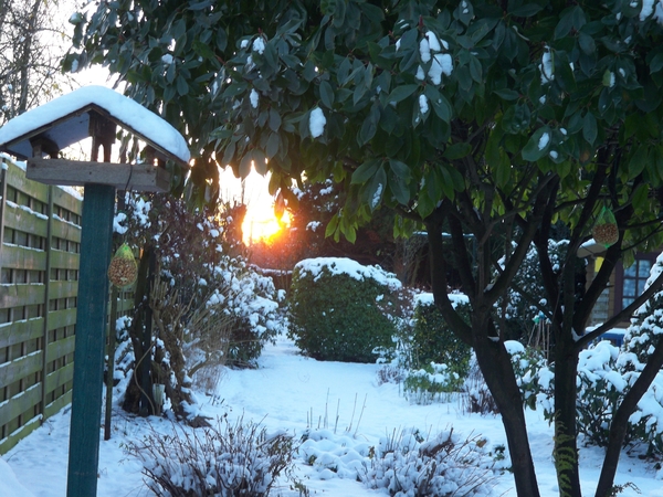 Sneeuw