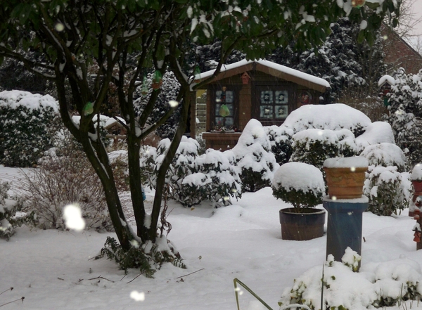 Sneeuw in tuin 2 Decemb.2010