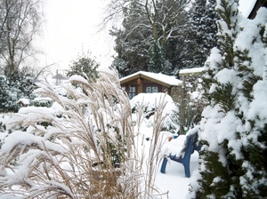 Sneeuw in tuin 2 Decemb.2010