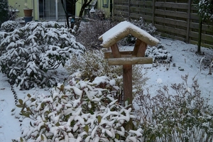 Winterse tuin 30 Nov. 2010