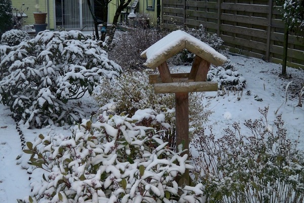 sneeuw