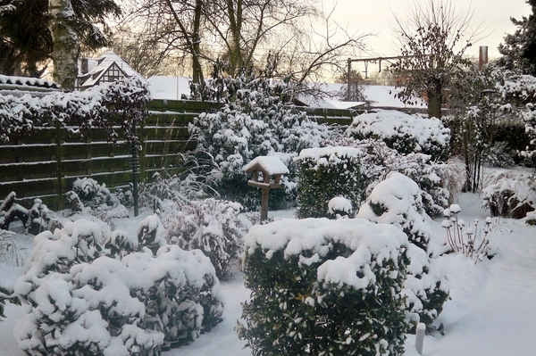 sneeuw