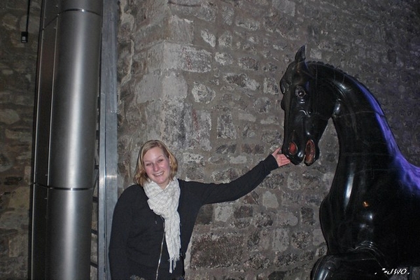 Beroemde paarden tentoongesteld.