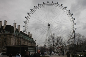 The London Eye aan de Theems.