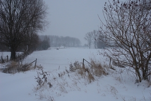 DSC01734