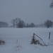 DSC01737